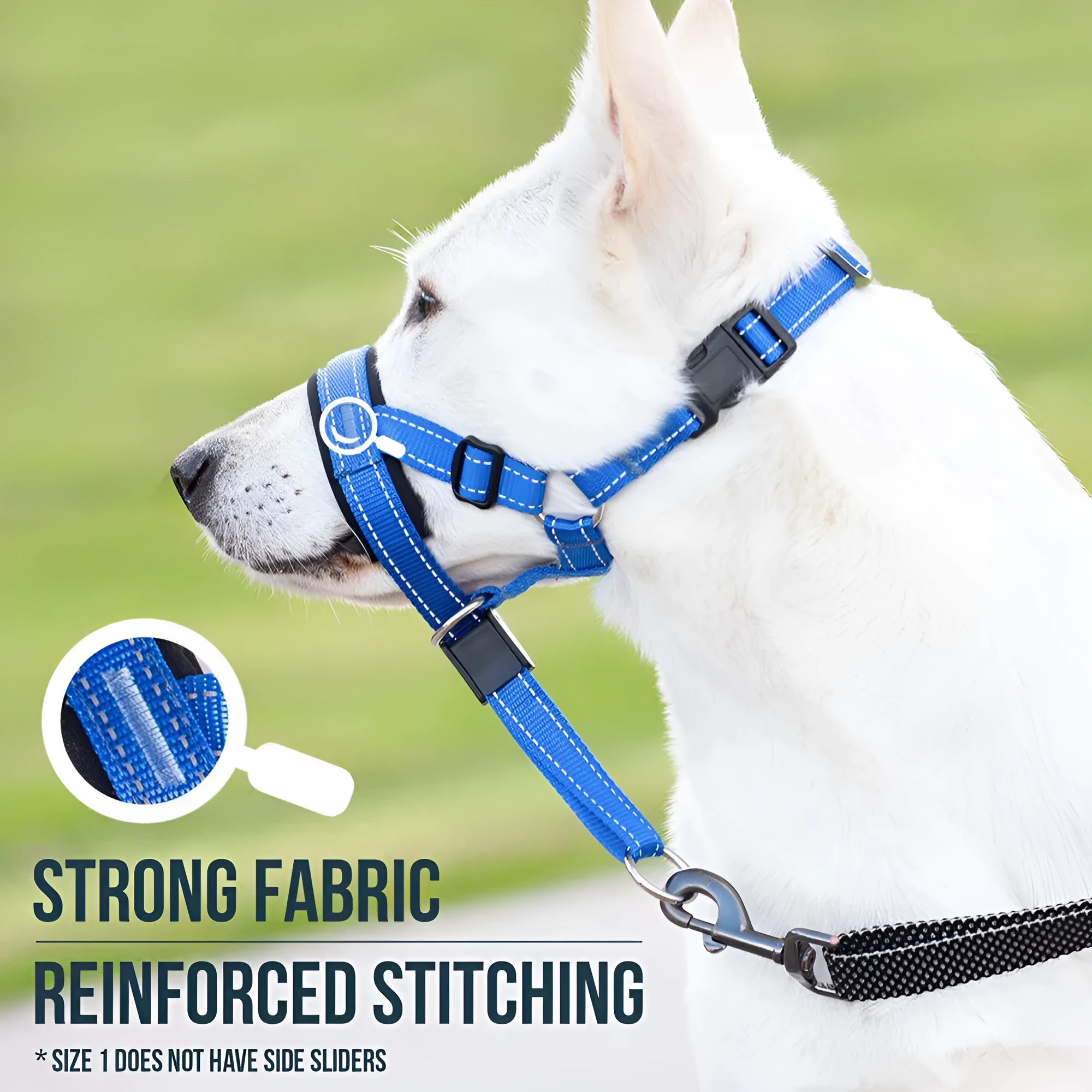 Nylon dog muzzle in blue on white background for bite and bark control
