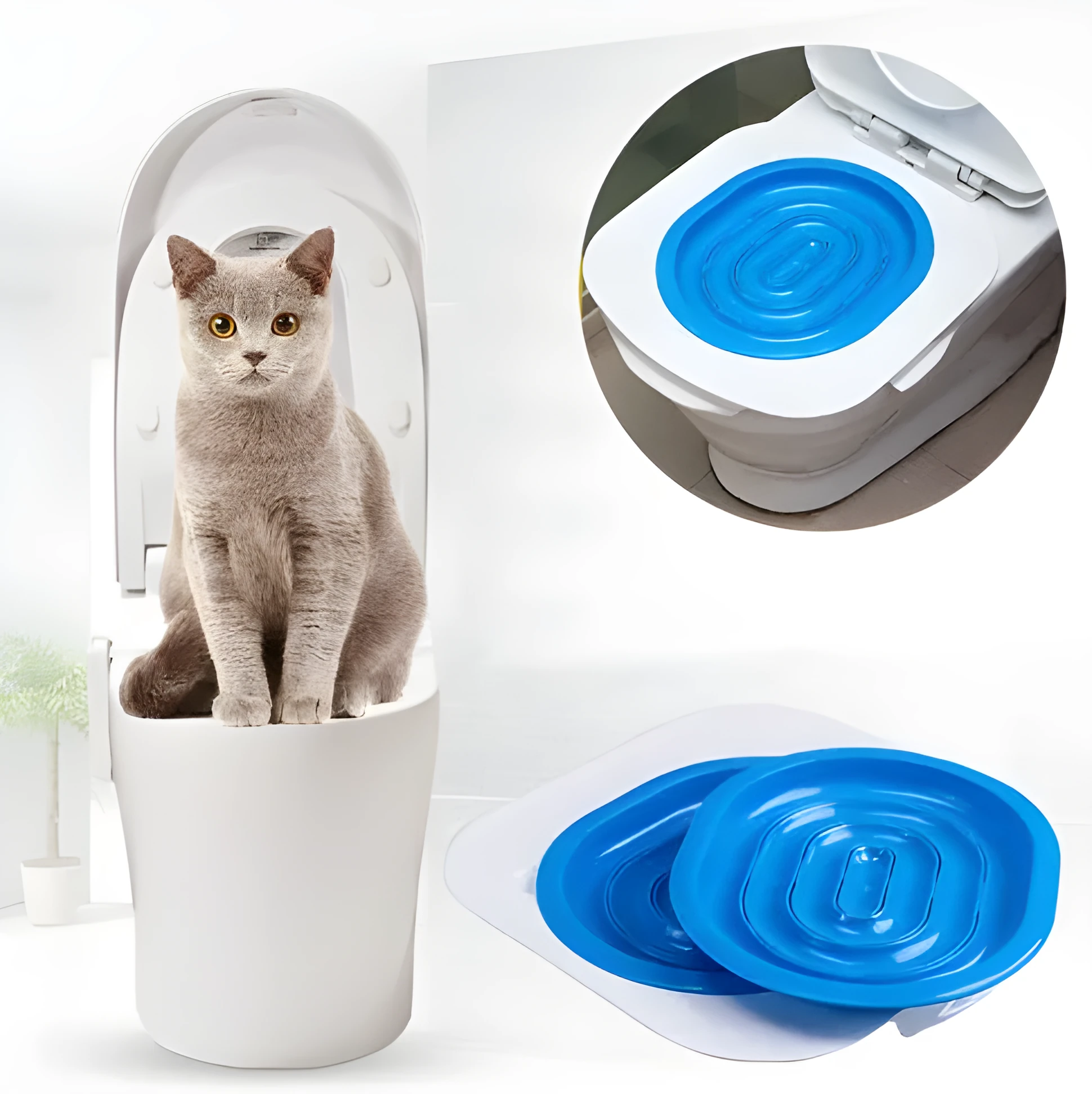 Blue cat toilet trainer with grooved removable trays placed on a white toilet seat