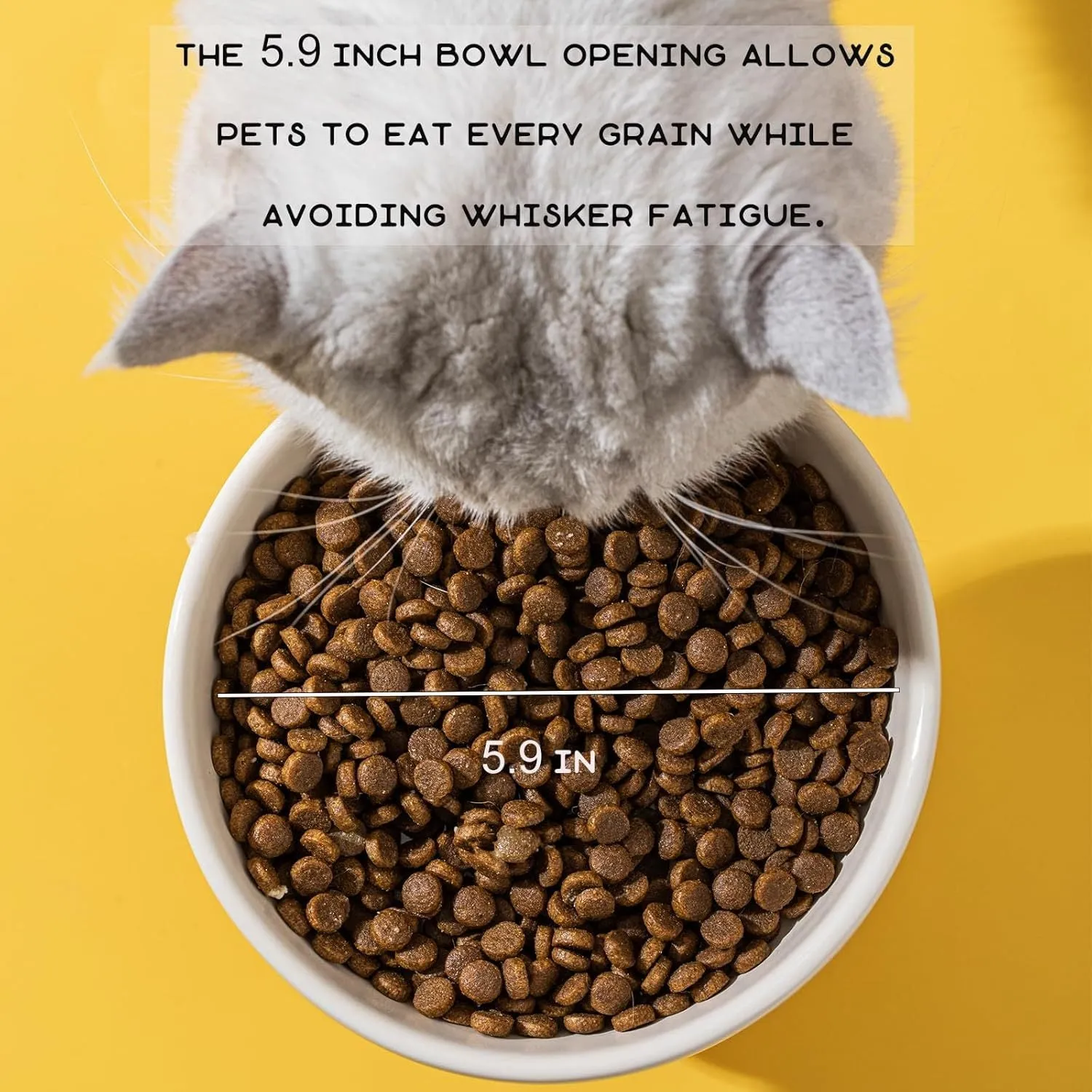Raised ceramic pet bowl in animal design, showing wide shallow dish on elevated base.