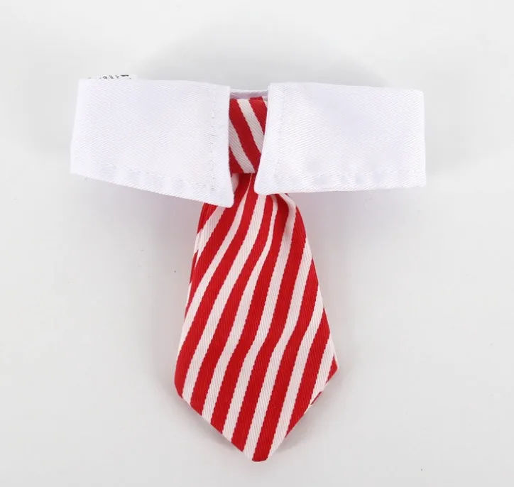 Cloth pet bow tie in red and black stripes on a dog, with S size 31cm visible