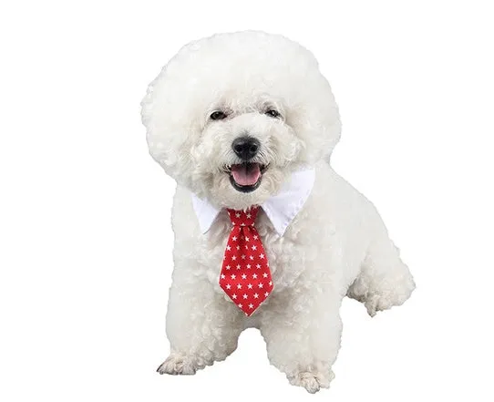 Cloth pet bow tie in red and black stripes on a dog, with S size 31cm visible