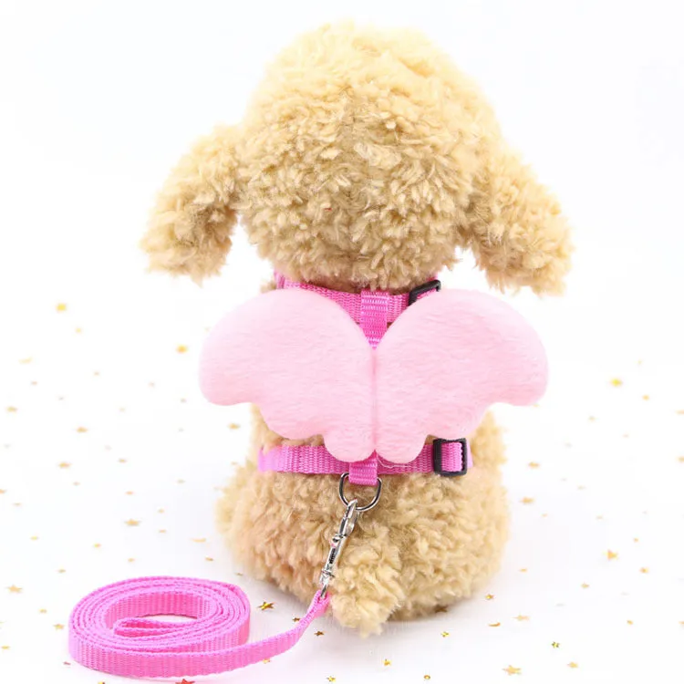 Cute Angel nylon dog leash in blue with fixed-length traction belt design for small to medium dogs