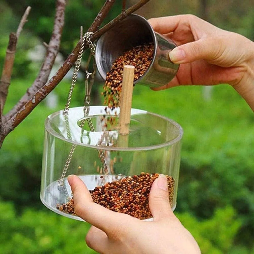 Round transparent acrylic bird food box with 1000ml seed capacity and visible seed inside, on a garden background