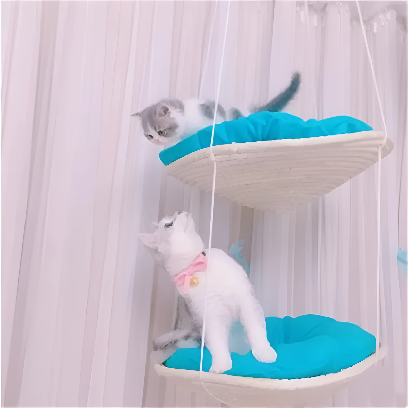 M medium cat climbing frame with hammock and storage in sky blue, double layer style