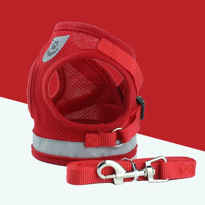Blue breathable mesh dog harness with reflective belt for small and medium dogs, showing hook and loop closure and metal carabiner
