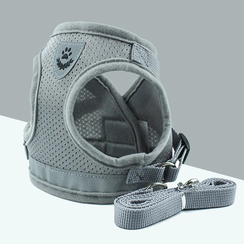 Blue breathable mesh dog harness with reflective belt for small and medium dogs, showing hook and loop closure and metal carabiner