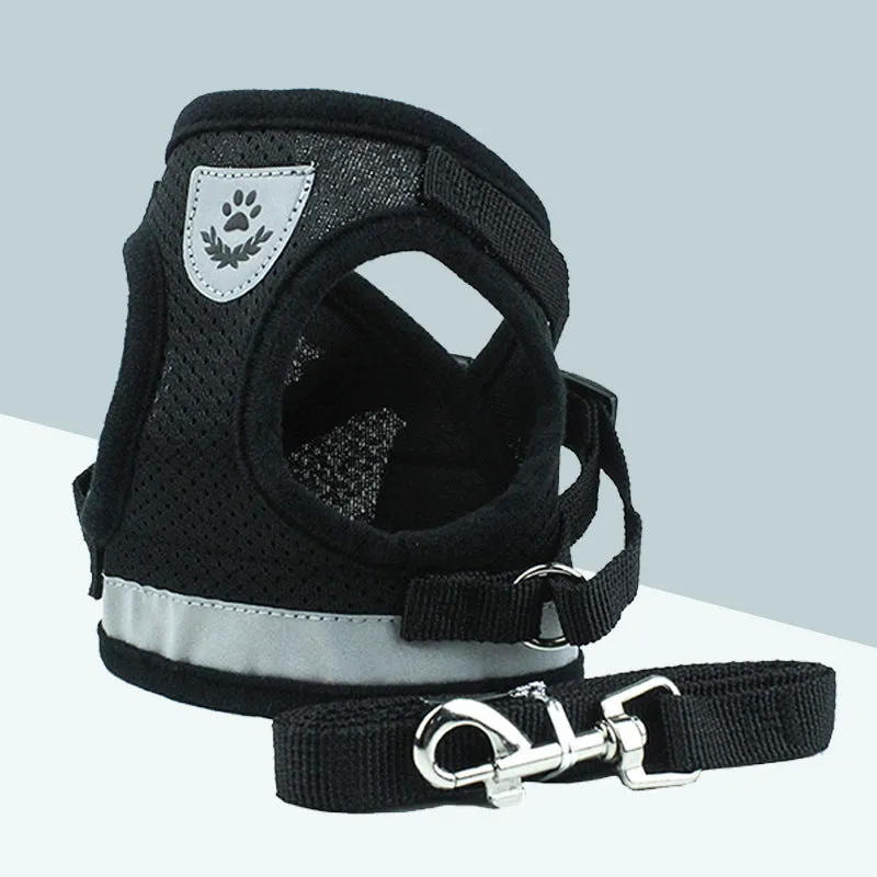Blue breathable mesh dog harness with reflective belt for small and medium dogs, showing hook and loop closure and metal carabiner