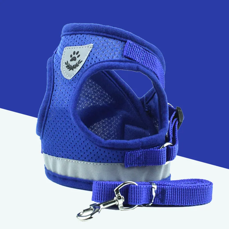 Blue breathable mesh dog harness with reflective belt for small and medium dogs, showing hook and loop closure and metal carabiner
