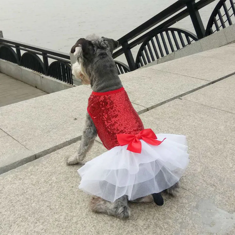 Sequin embroidery pet skirt for female dogs in gold colour, princess style, size M