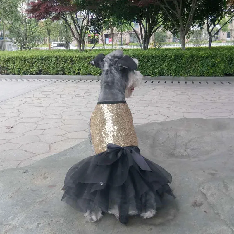 Sequin embroidery pet skirt for female dogs in gold colour, princess style, size M