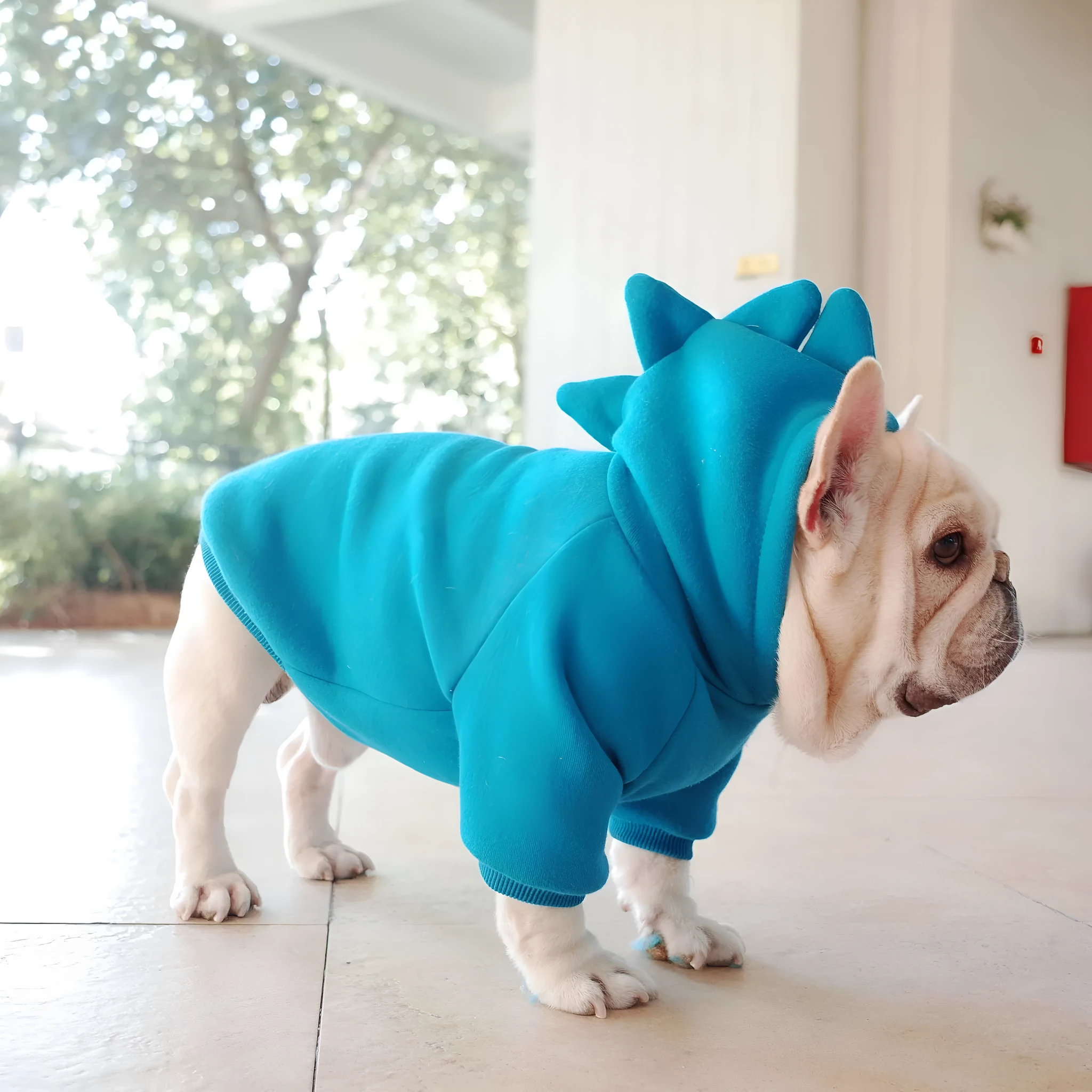 Blue fleece solid colour pet hoodie on a dog, available in sizes S M L XL