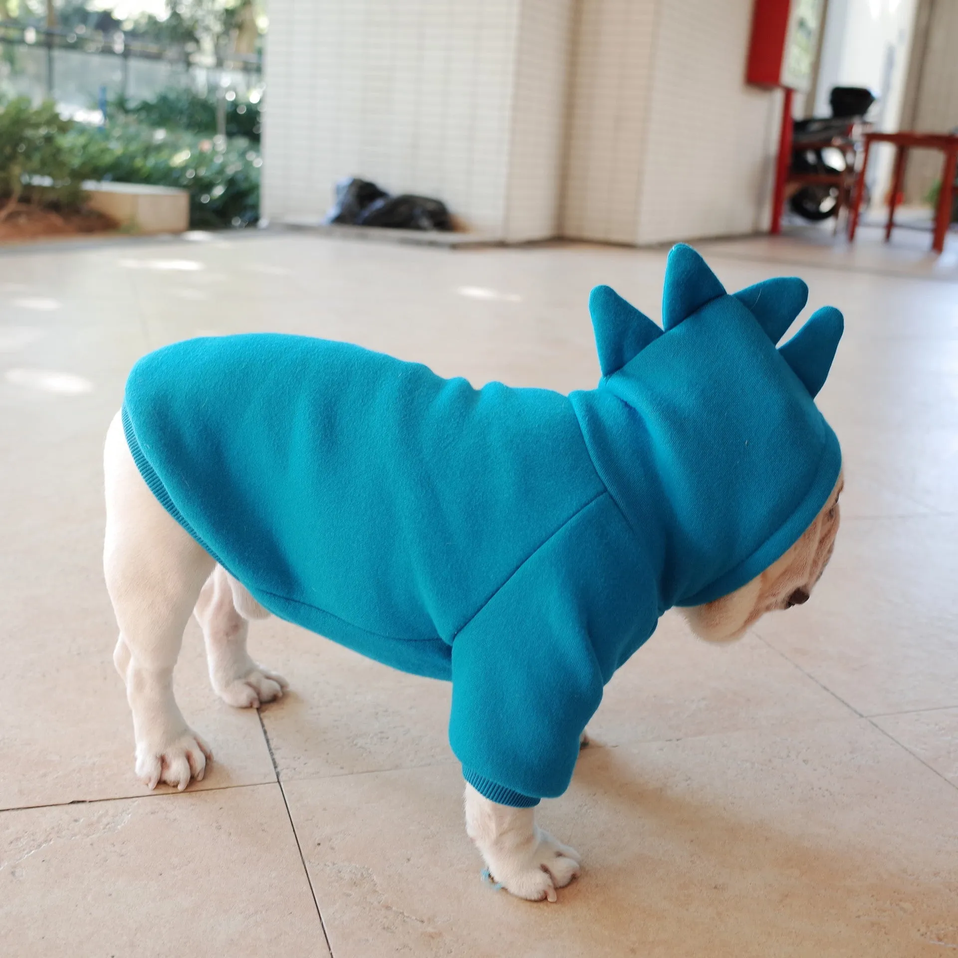 Blue fleece solid colour pet hoodie on a dog, available in sizes S M L XL