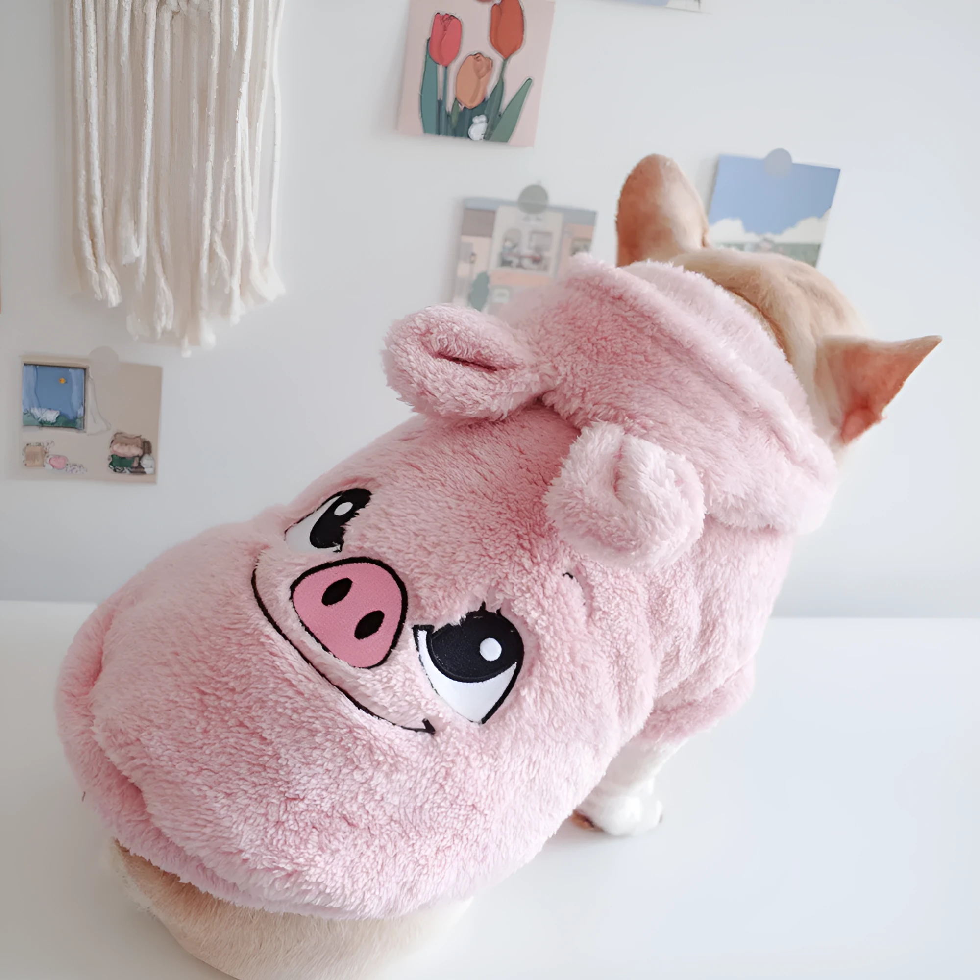 Cartoon embroidered coral velvet hooded pet vest in pink colour on a white background