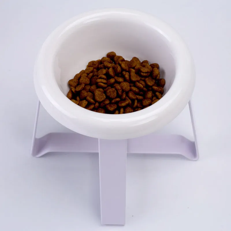 Elevated ceramic cat feeding bowl with gold iron stand and stainless steel surface in pink colour