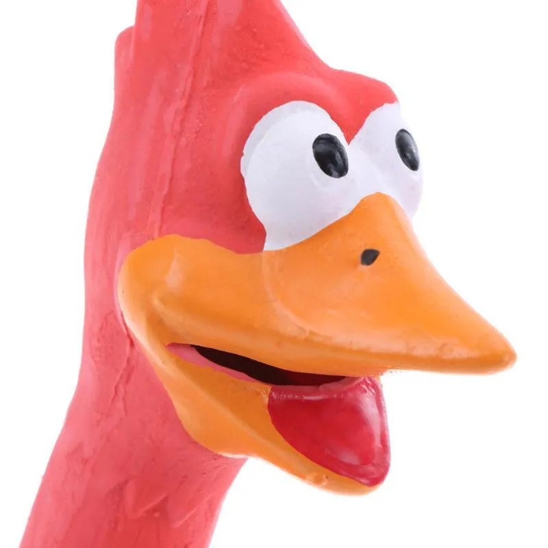 Dog screaming chicken sounding toy in natural latex, 20cm, bite resistant, black colour, on plain background