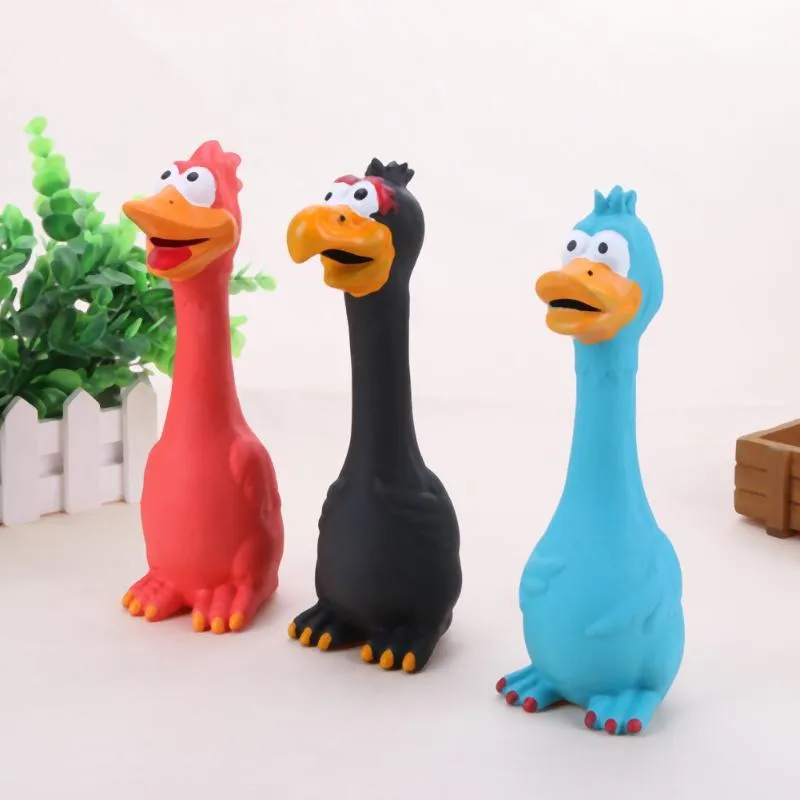 Dog screaming chicken sounding toy in natural latex, 20cm, bite resistant, black colour, on plain background