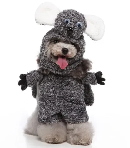 Three-piece dog costume in polyester fabric, standing outfit with hat, clothes and cloak, size S to XL