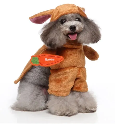 Three-piece dog costume in polyester fabric, standing outfit with hat, clothes and cloak, size S to XL