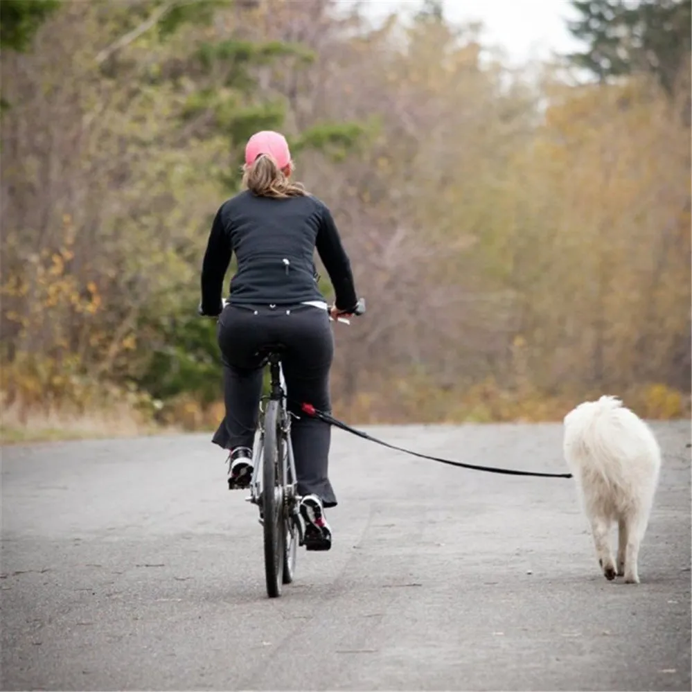 Black bicycle dog walker with detachable traction chain and dual disc brakes on 24x15 hard frame