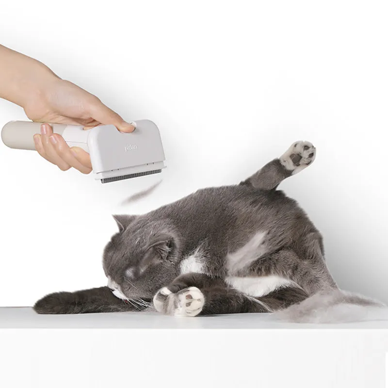 Pet hair removal comb brush with ABS body, PP roller, and nylon etiquette brush for cats and dogs