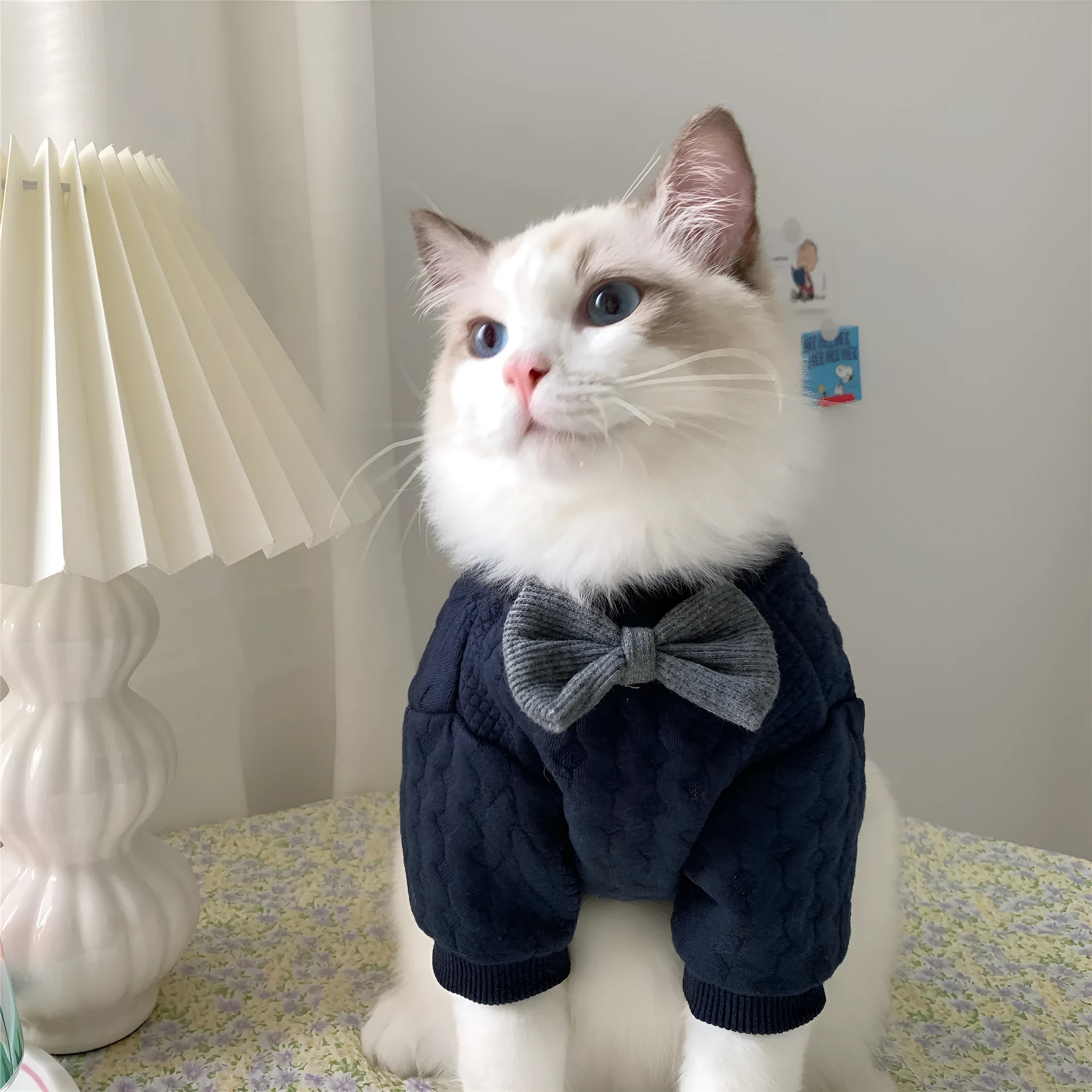 Navy blue casual pet clothes for dogs on a light background, showing front view, sizes XS to XL available