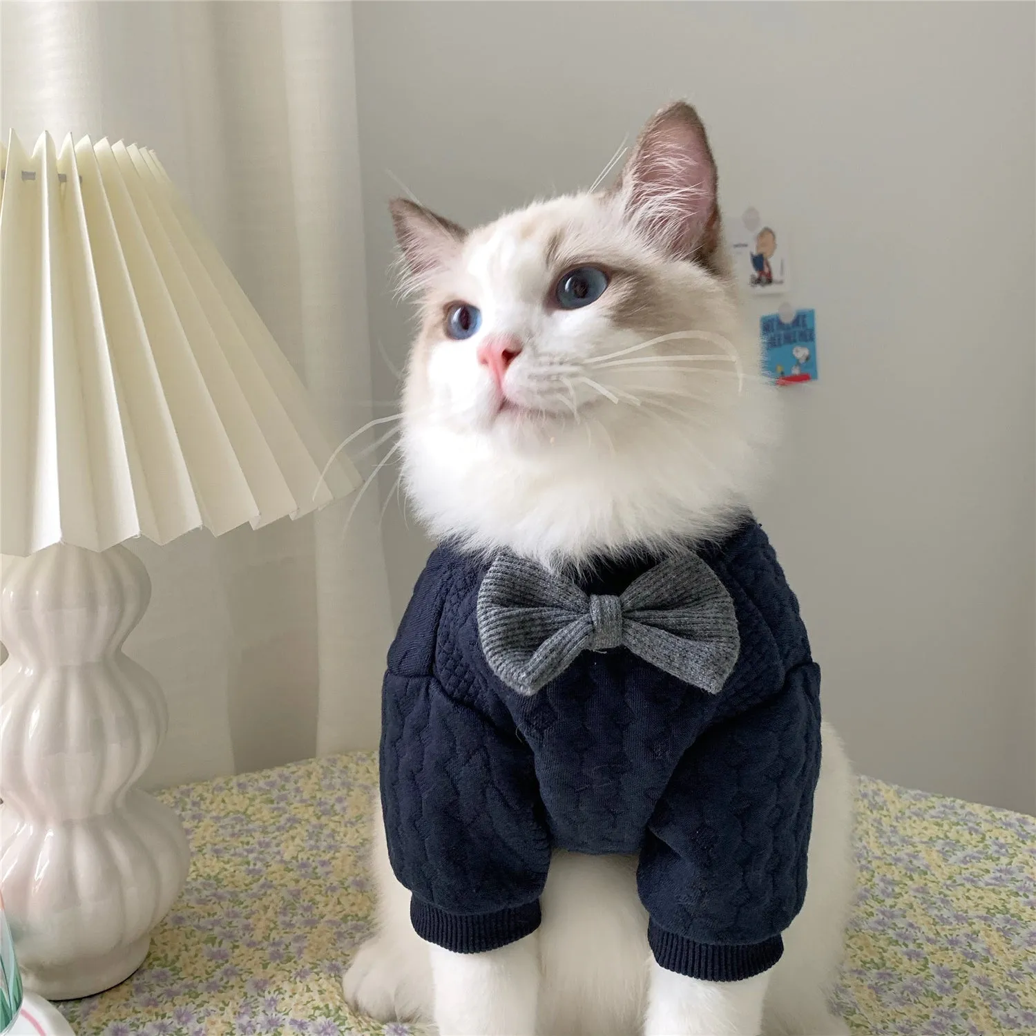 Navy blue casual pet clothes for dogs on a light background, showing front view, sizes XS to XL available