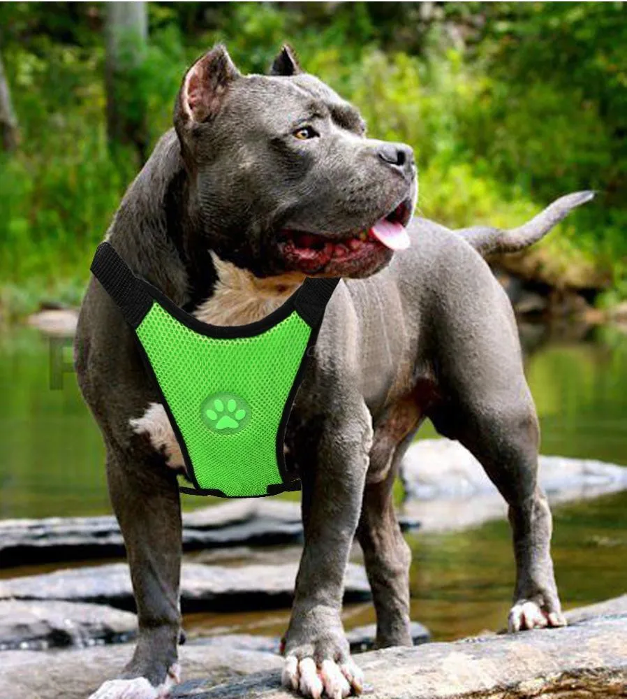 Breathable mesh dog harness in dark blue with adjustable chest strap and silver buckle for car safety