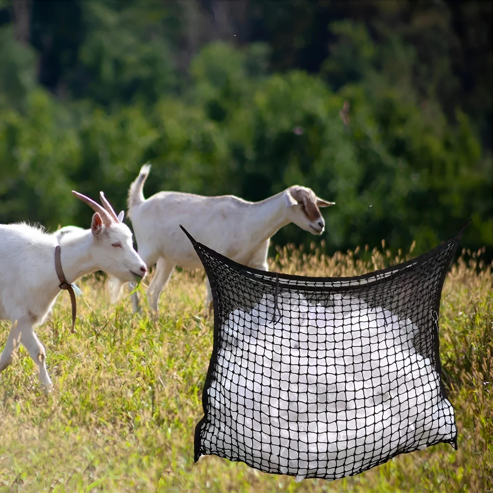 Black woven PE rope grid feeding bag hanging, sized for a horse.