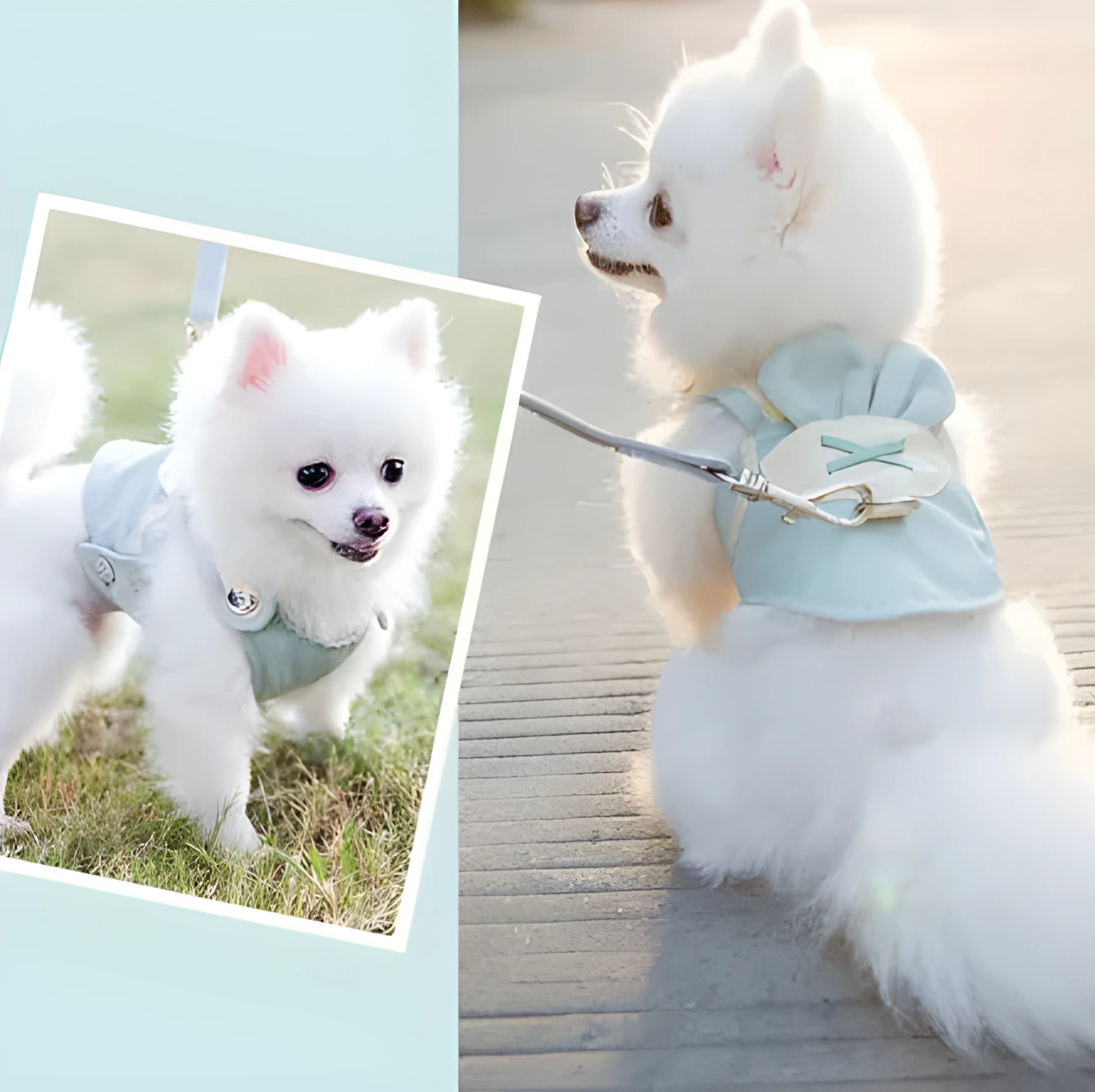 Pet dog harness and lead set in breathable polyester vest style for small to medium dogs, showing five sizes and seven colour options