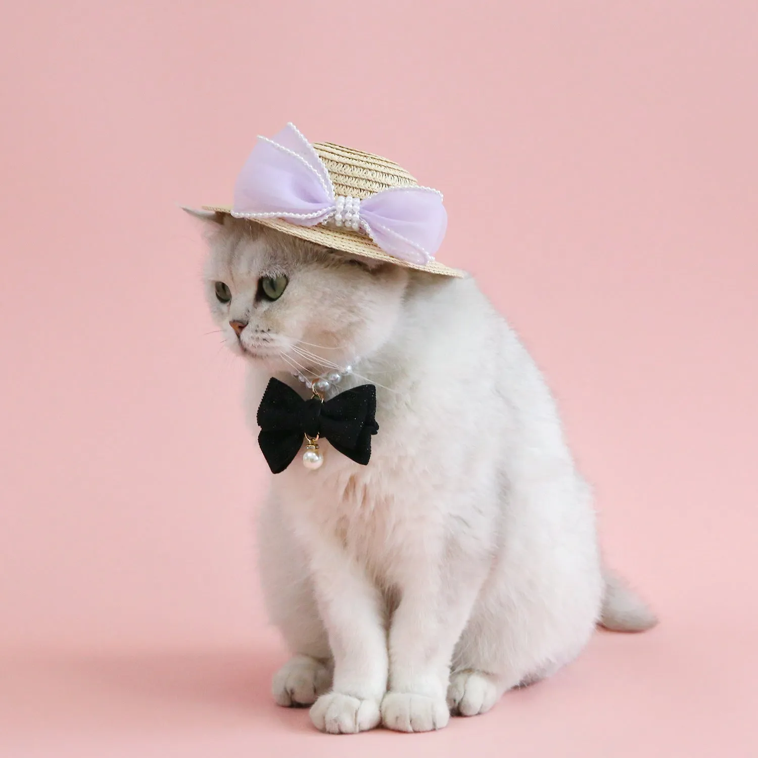 Woven straw cat hat with a pearl bow, shown in blue, pink, purple, and white colour options