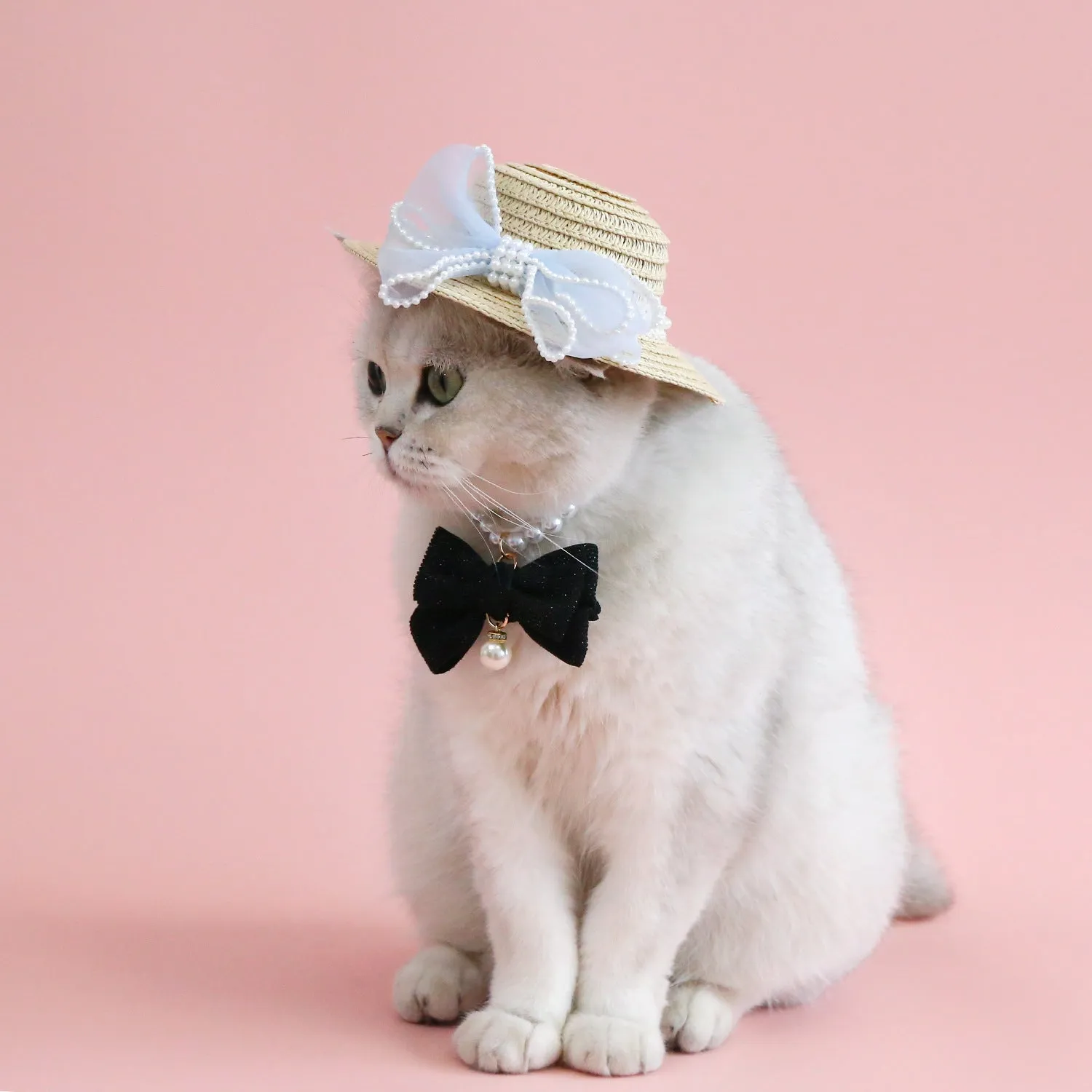 Woven straw cat hat with a pearl bow, shown in blue, pink, purple, and white colour options