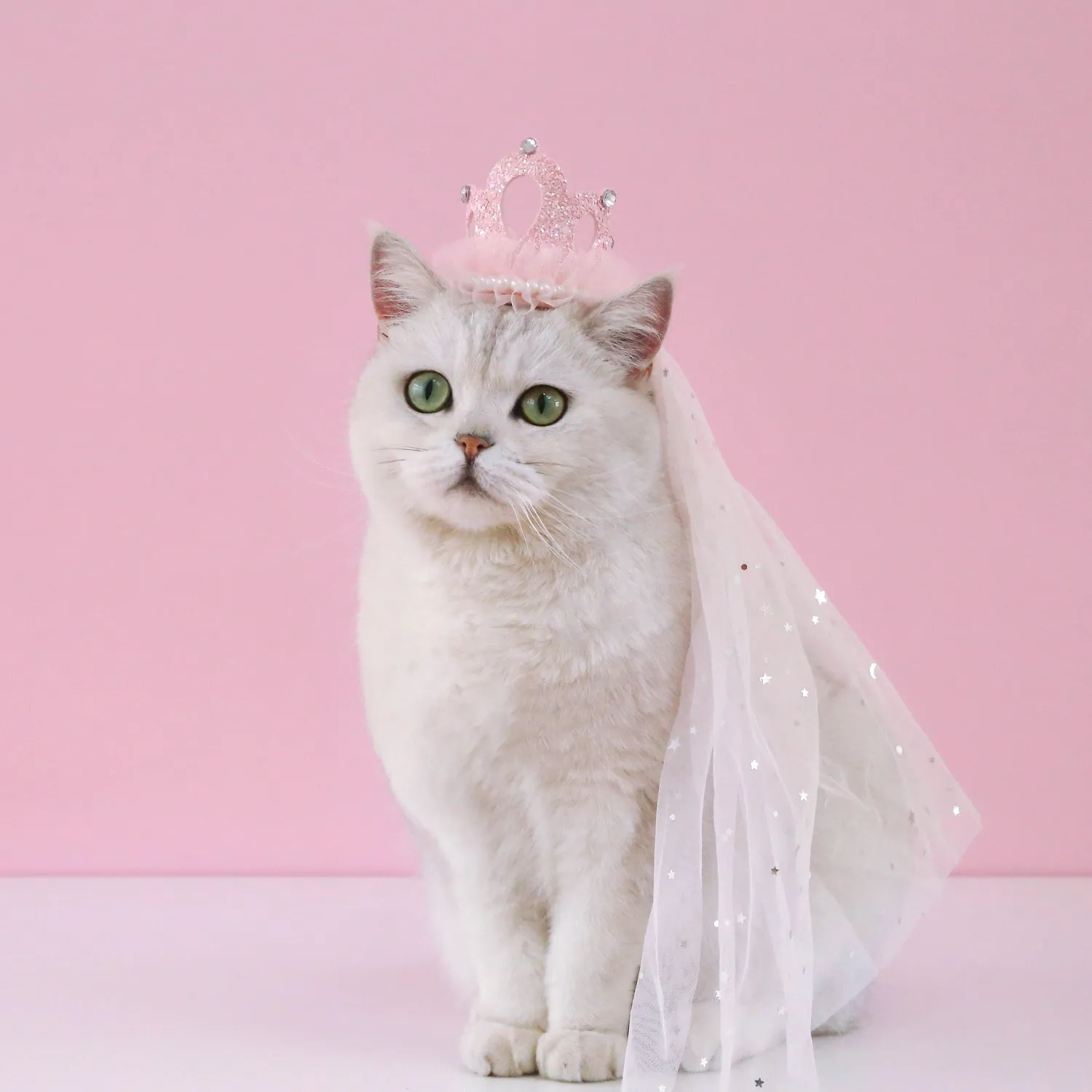 Pet cat wearing princess crown headdress with veil for wedding or birthday costume