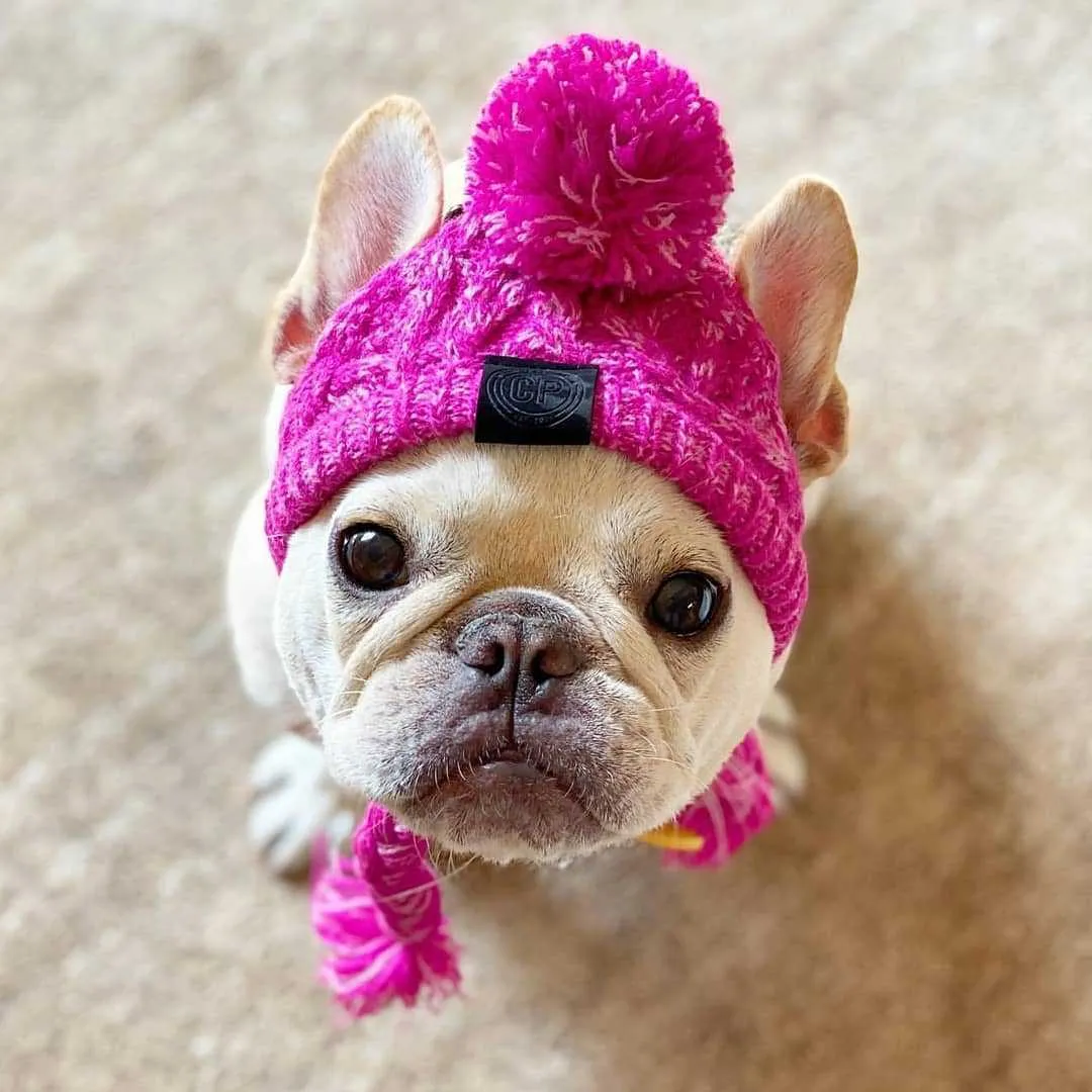 Acrylic knit dog hat with fluffy ball decoration in grey, side view showing knitting pattern