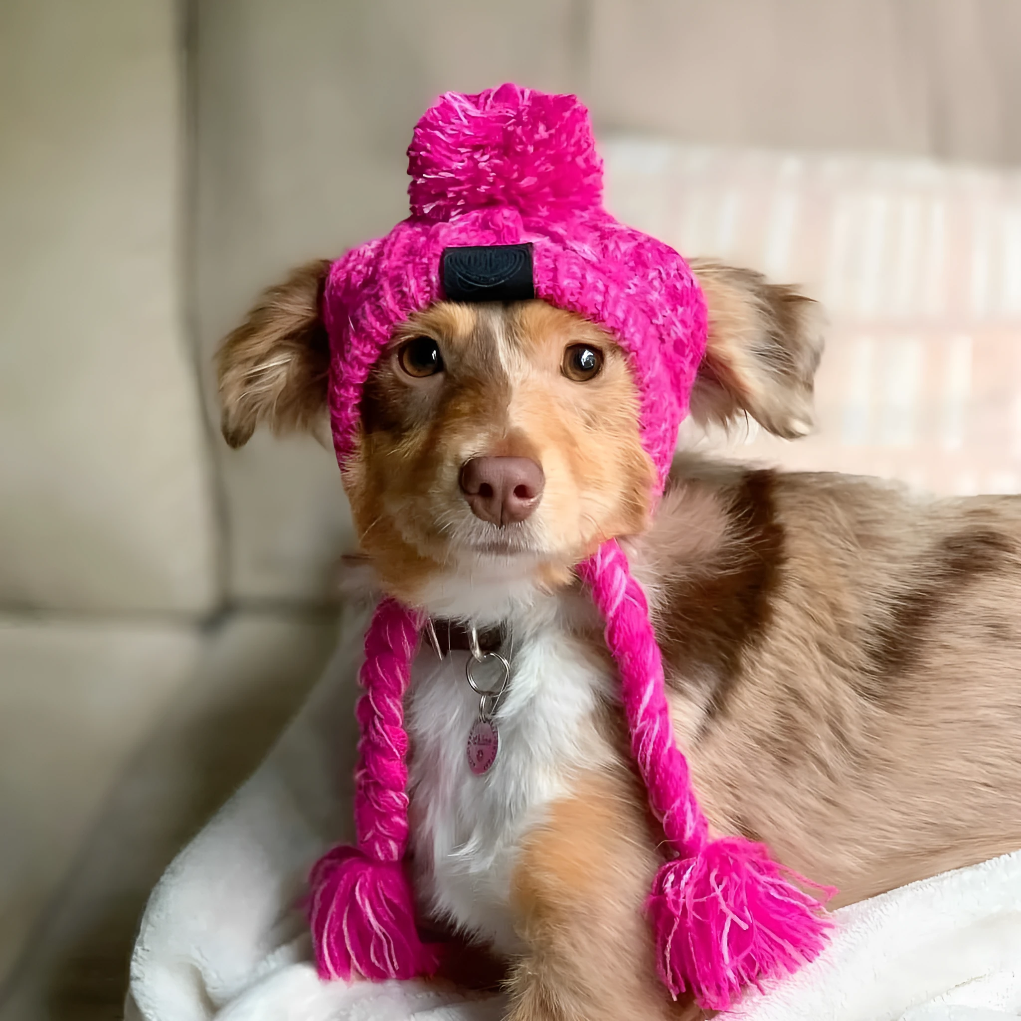 Acrylic knit dog hat with fluffy ball decoration in grey, side view showing knitting pattern
