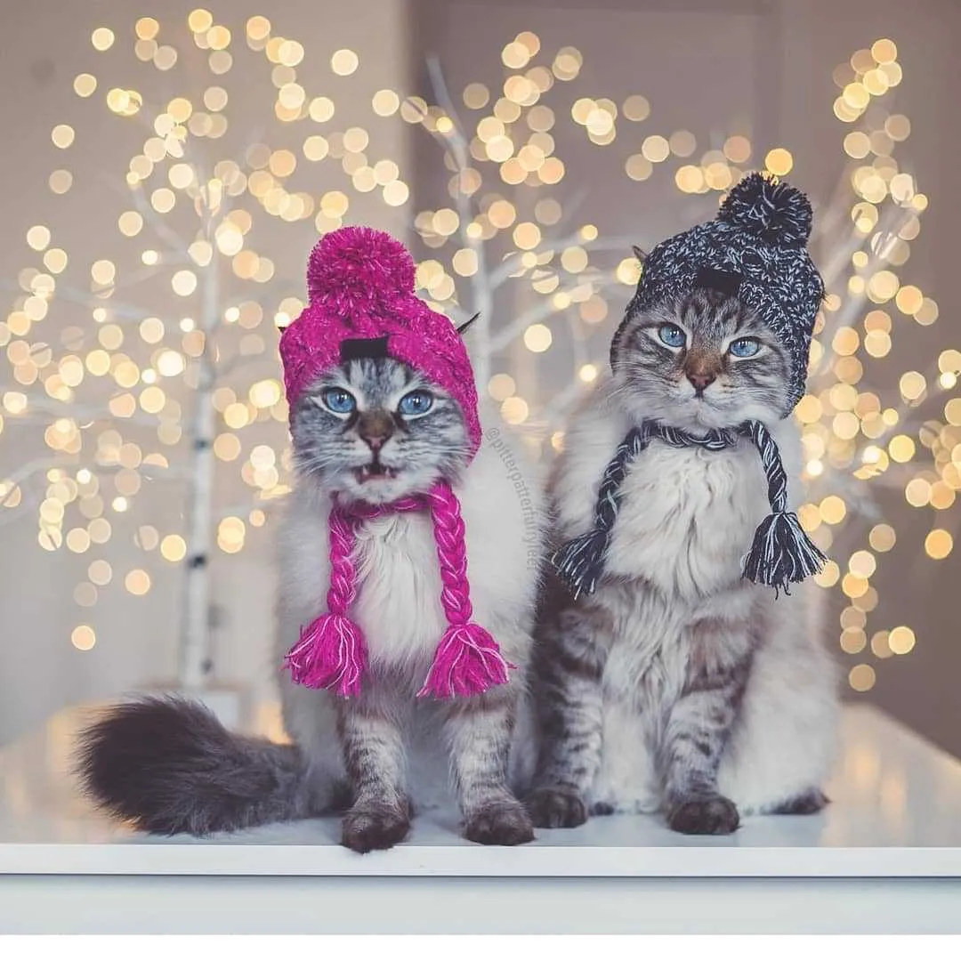 Acrylic knit dog hat with fluffy ball decoration in grey, side view showing knitting pattern