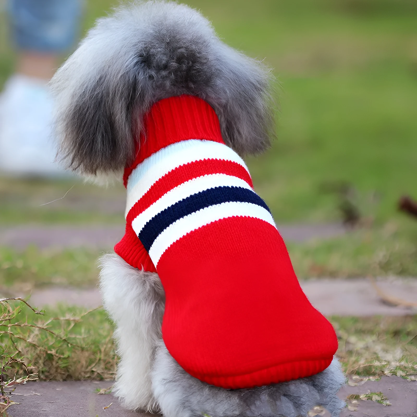 Wool dog sweater for small dogs corgi in red stripes colour available in sizes XS to XL