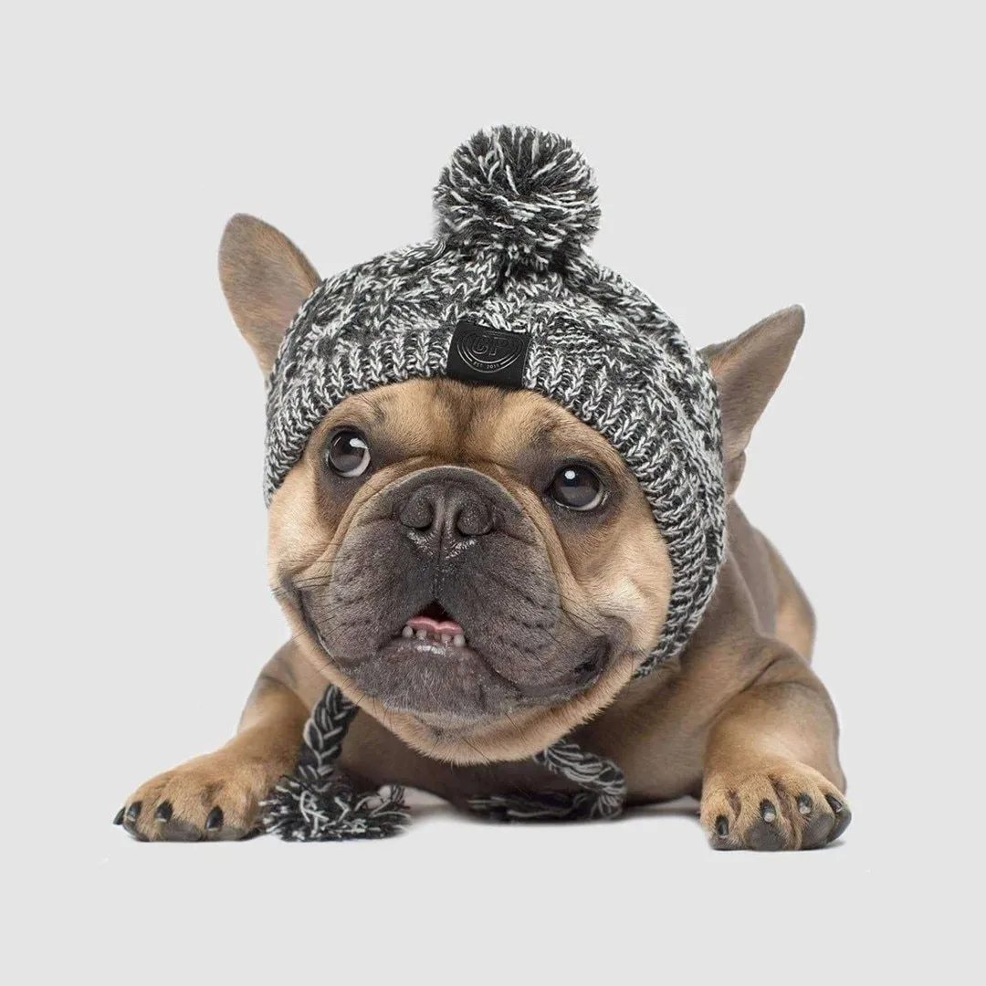 Grey winter fashion dog hat with fluffy polar pom, braided knit acrylic fabric, and ear slits on a dog