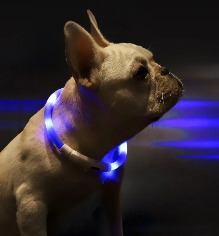Blue LED pet light collar with cuttable silicone strip and USB charging cable, 50cm length