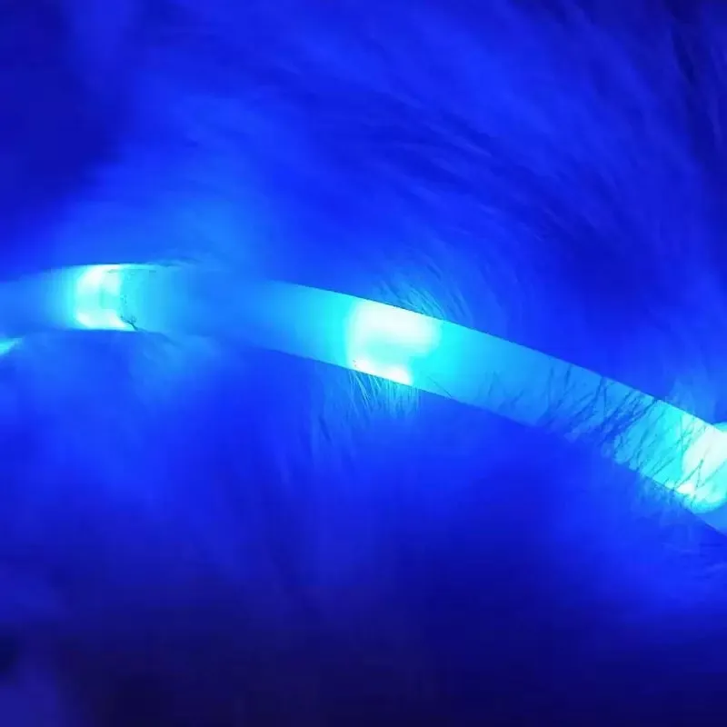 Blue LED pet light collar with cuttable silicone strip and USB charging cable, 50cm length