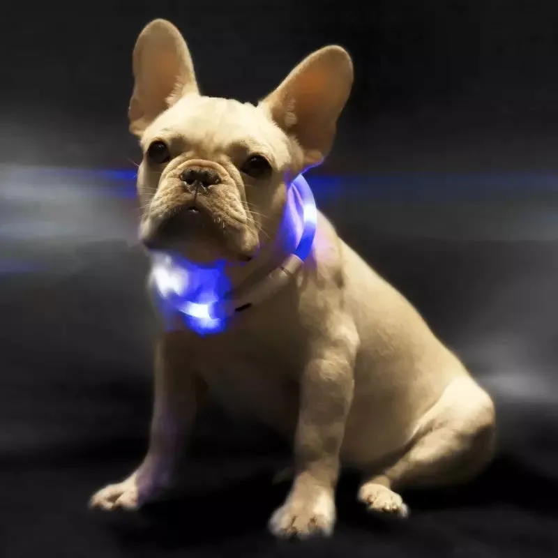 Blue LED pet light collar with cuttable silicone strip and USB charging cable, 50cm length