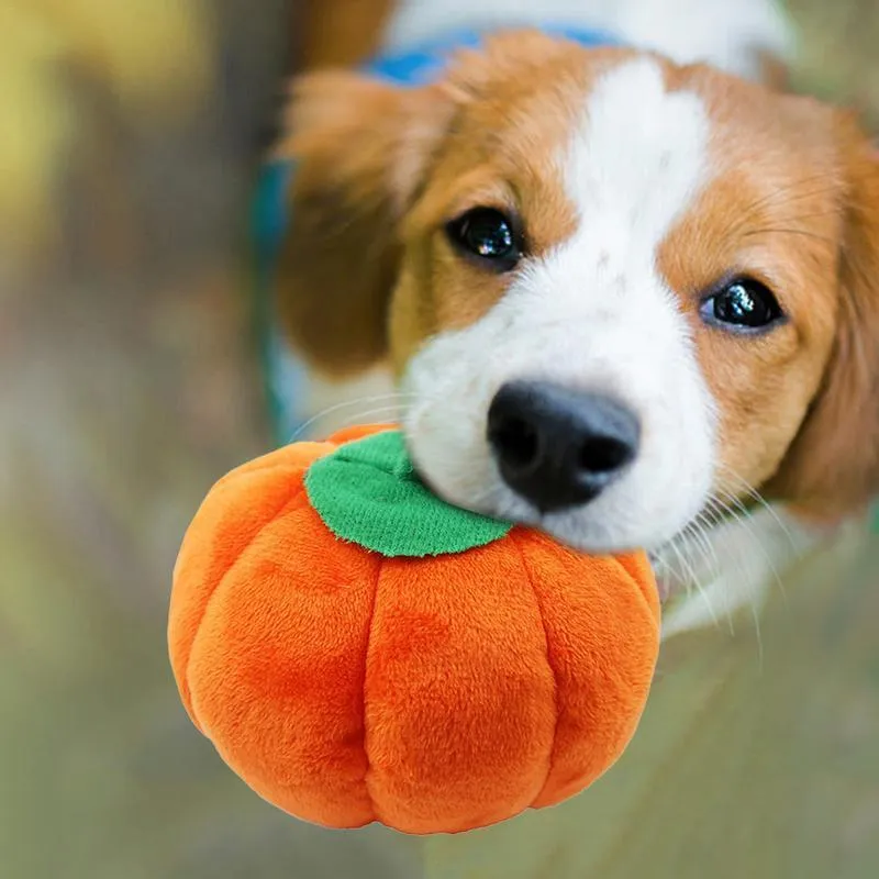 Gooddog plush fruit dog toys with squeaker, including banana and chicken leg shapes, on a white background
