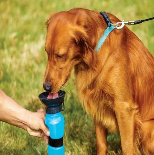 Portable anti-spill water bottle drinker for dogs and cats, blue colour, PP PE plastic, 21.5cm height