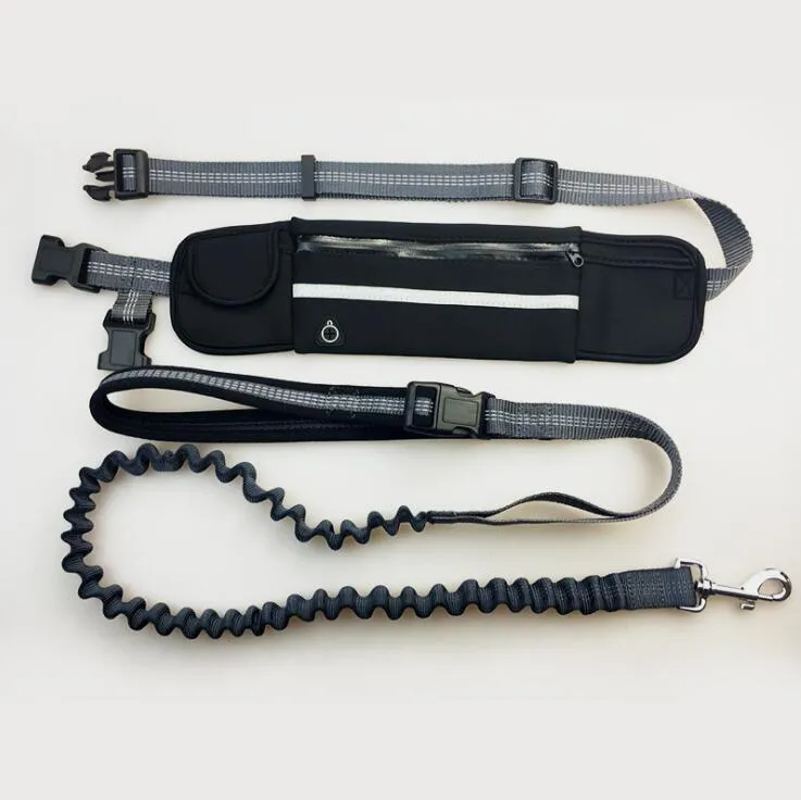 Hands-free dog running leash with black waist belt and reflective nylon bungee leash