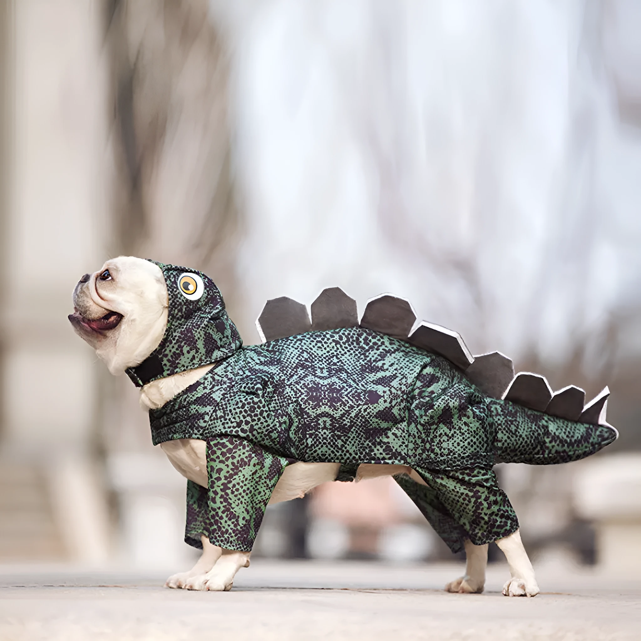 Pet dinosaur costume bunny outfit for female dogs and cats