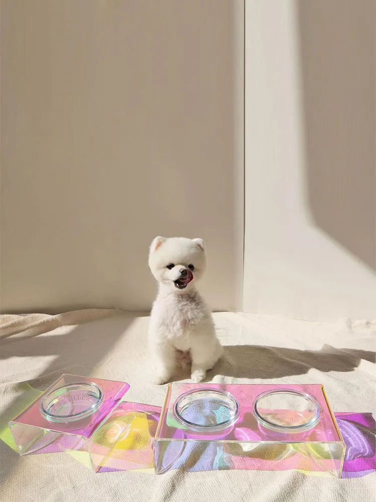 Pet Rainbow Bowl acrylic pet feeder with holographic finish and glass bowl for cats and small dogs