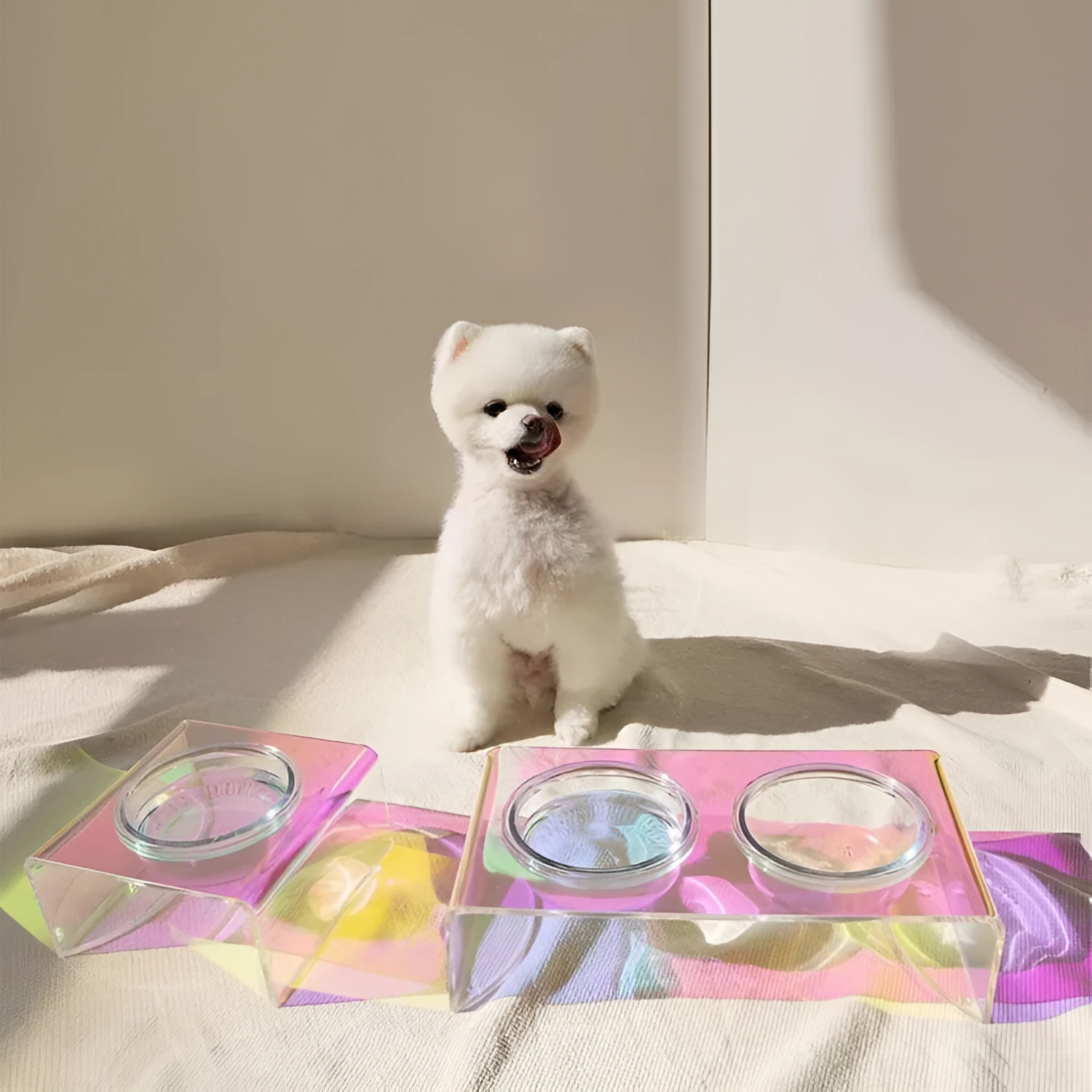 Pet Rainbow Bowl acrylic pet feeder with holographic finish and glass bowl for cats and small dogs