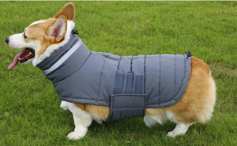 Grey winter dog coat with thickened filling and waterproof nylon outer for medium large dogs