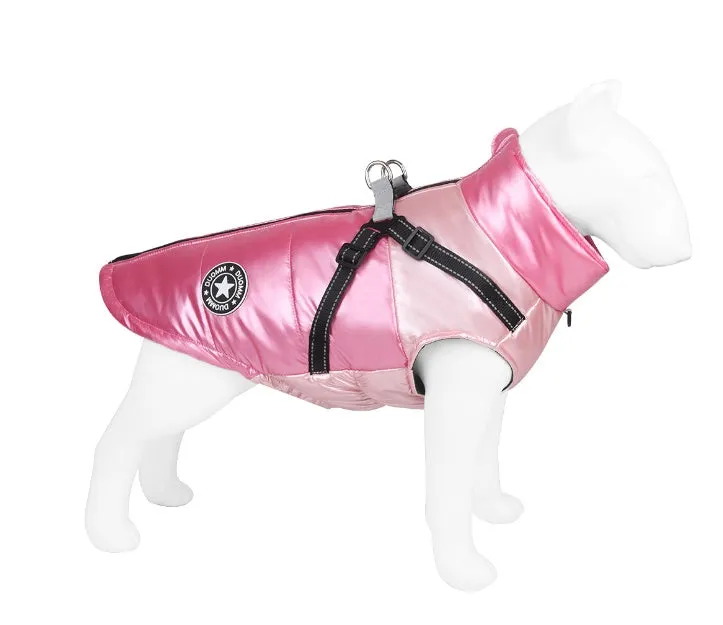 Polyester cotton dog coat with hook and loop closure in yellow, pink, green and orange on a white background