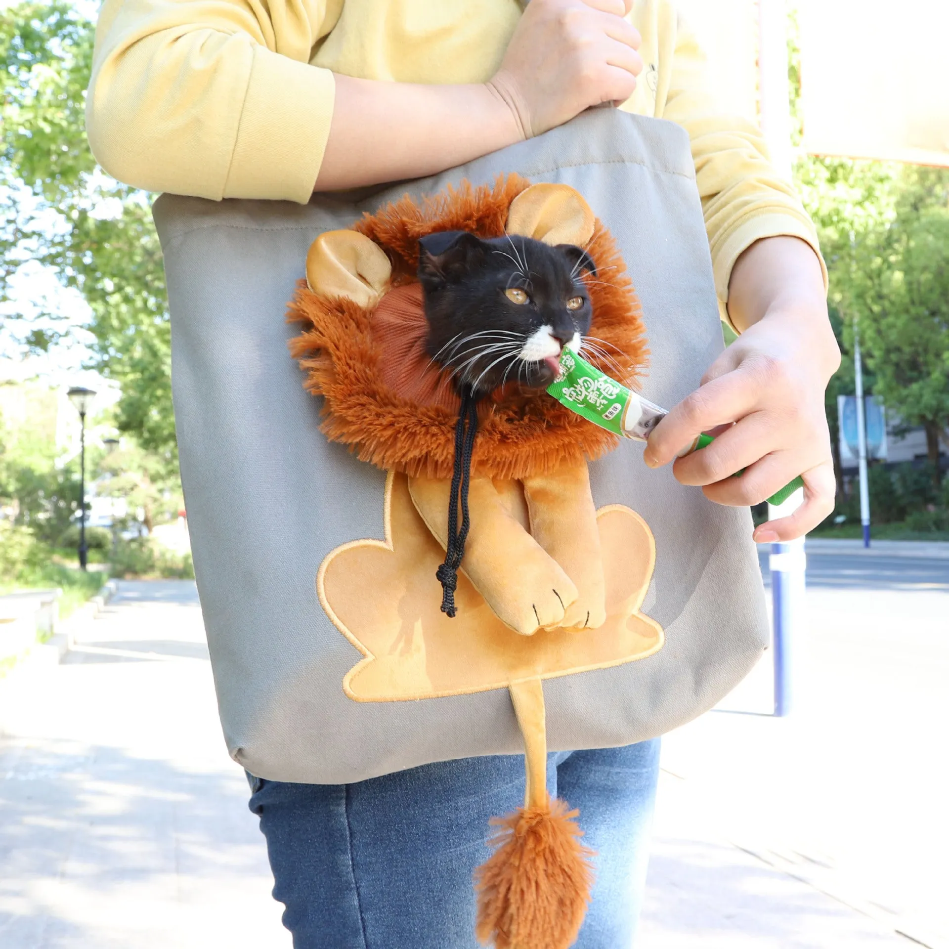 Canvas lion design pet carrier bag with safety zippers, adjustable opening, double shoulder strap, available in multiple colours