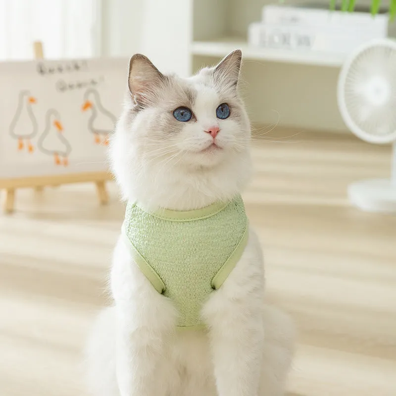 Cat wearing green bear patch cartoon clothing with hollowed-out breathable design